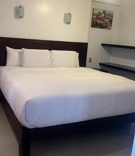 Hotel Del Carmen *